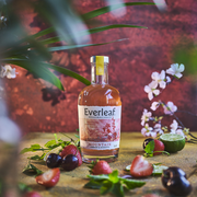 Everleaf Mountain Alcoholvrij alternatief - lifestyle picture - red background - fruits and strawberry, cherry garnish