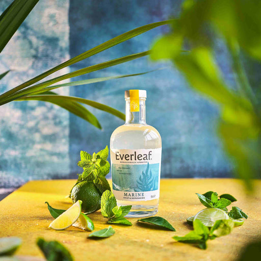 Everleaf Marine Alcoholvrij alternatief - lifestyle picture - Blue background - lime garnish